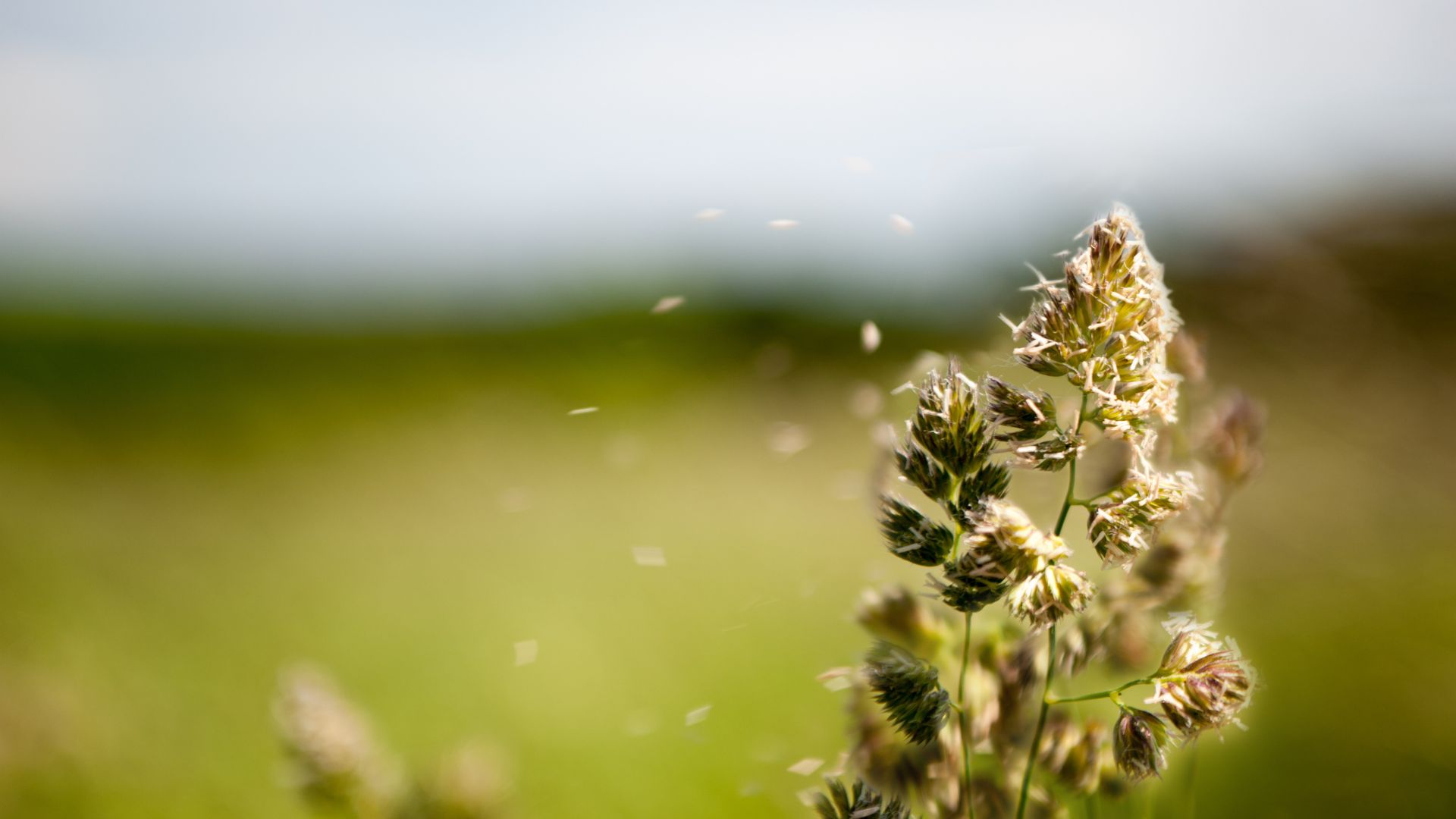 5 solutions aux allergies saisonnières que vous pouvez appliquer dès aujourd’hui